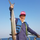뉴대양호