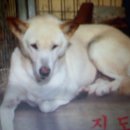 백년축산 이미지