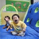 한라어린이집 | 아이 어린이집, 한라키즈어린이집이 숨겨진 매력과 꿀팁을 알려드릴게요