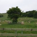 덕평목장 이미지