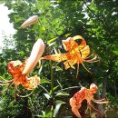 송강농장 이미지