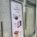 옥정청과 | [양주/옥정] 옥정 호수공원 뷰 깔끔 조용한 애견동반 카페 :: 카페 오트(CAFE OAT)