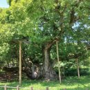 퀸즈캐슬(라연궁) 이미지