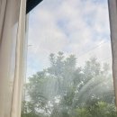 난비포장으로 | 24’제주 :: Day 6. 오저여, 창꼼바위, 오드랑 베이커리, 용두네해장국, 디앤디파트먼트