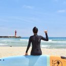 양양팜서프 이미지