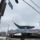 서울풍물시장주황동38 | 주문진수산시장 내돈내산 방문후기 바가지 안 쓰고 가성비 챙긴 비결