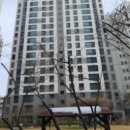 힐스테이트2단지아파트 네이버블로그