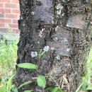 삼계초등학교 이미지