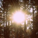 구름 태양광발전소 이미지