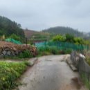 관기2구마을회관 이미지