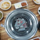 봉갈비 - 제주시 원노형로 11 | 봉갈비