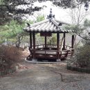 금가면사무소 이미지