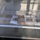 집밥먹개 집밥먹냥 이미지