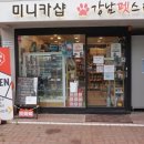 강남펫스타일 이미지