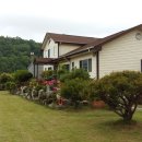 월출산방 이미지