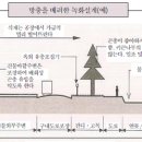 삼목통상 이미지
