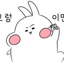 도연이네 민박 이미지