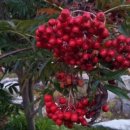 백담마을 이미지