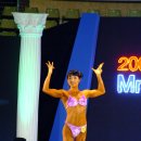 미즈미스터 이미지