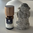 밀레니얼의 여행은 어떻게 달라질 것인가 | 페퍼민트오일 고르는 법 베르셀로 사용 후기와 아침 여행 루틴 정리