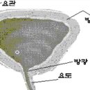 해피비뇨의학과의원 네이버블로그