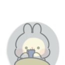 사자마트 이미지