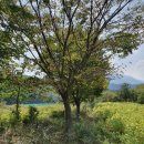 미루농원 이미지