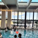 인전 | *인천 파라다이스시티호텔* 수영장 체크인전이용하기, 후기