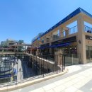 일산호수공원 가로수길 이미지