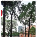 금호프라자 이미지