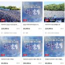 1만7000원→24만원…연세대 축제 &#39;아카라카&#39; 암표 극성 이미지