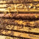 내검농장 이미지