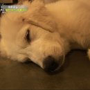 종일농장 이미지