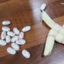 스스로 뚝딱 이미지