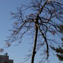 금호동주민센터 이미지