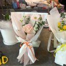 어떤상점 | 가성비 광화문꽃집 추천 <싱그러운상점>