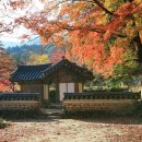 성지불교사 - 거제시 고현천로 74 | 성지불교사