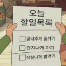 안나유 이미지