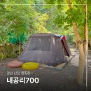 경남 산청 신상 캠핑장 내공리700 숲 계곡 다있는 2번 사이트 후기