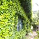 ﻿＜축하＞백학근시인 시집 출판기념회 및 전남대 여수평생교육원 문예창작반 신입생환영회 / 출 처 : 받은 이메일 내용입니다. 이미지