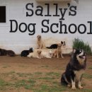 애견은 내친구 이미지