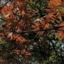 위드치과보철과의원 이미지