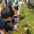 대구왕선초등학교 이미지