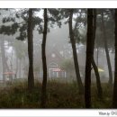 솔밭팬션 이미지