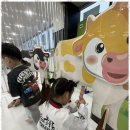 더큰 태권도장 이미지