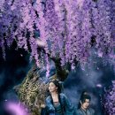 (합)고려레미콘 | <백일제등> 9~20화: 화려한 미장센 뒤에 가려진 아쉬운 서사 밀도