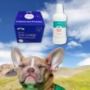 로바니코 이미지