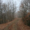 원창5리 이미지