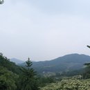 뜨레난농장 이미지