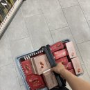 센트럴모굴